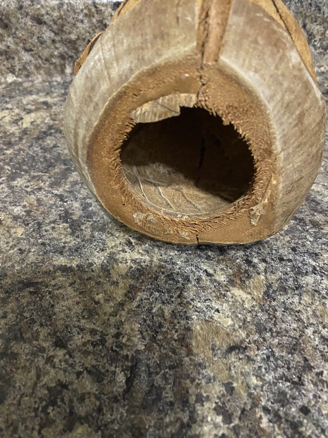 Coconut carved ape vintage image indicator(4)