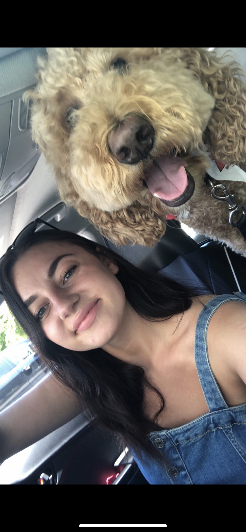 Denim overall style dress image indicator(5)