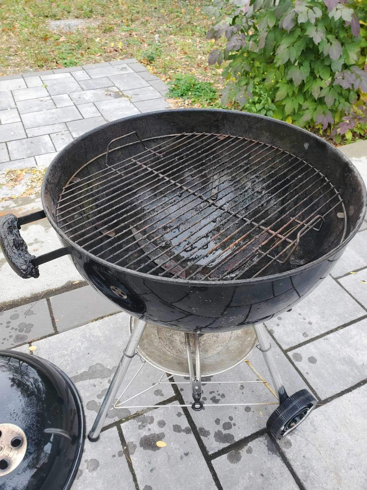 Weber BBQ - photo 4