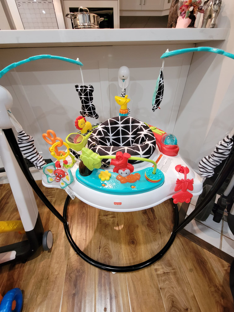 Fisher Price Animal Jumper