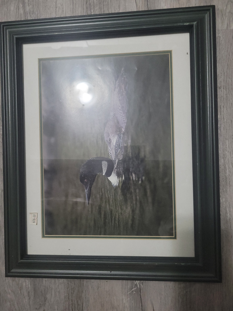 7 FRAMES - ALL for $7 image indicator(5)