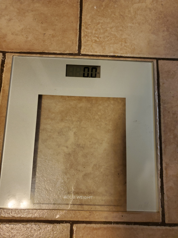 Accu-weight Glass Scales image indicator(3)