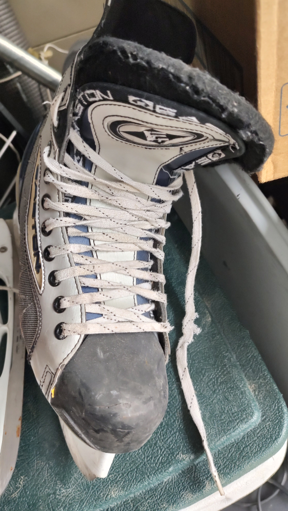 Size9D Eastern skates image indicator(2)