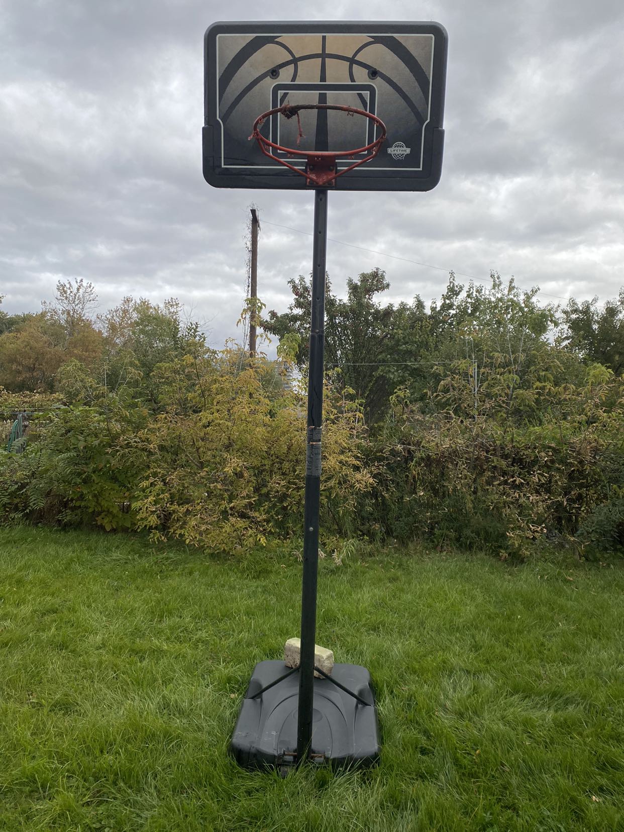 BASKETBALL HOOP & Soccer/Hockey NET