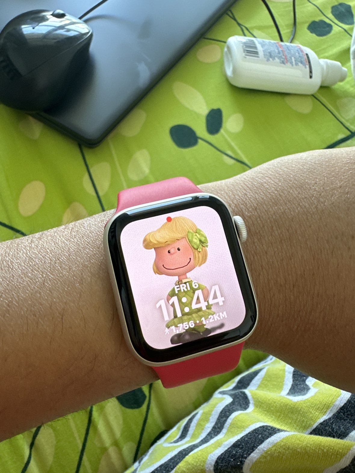 🦃 apple watch se