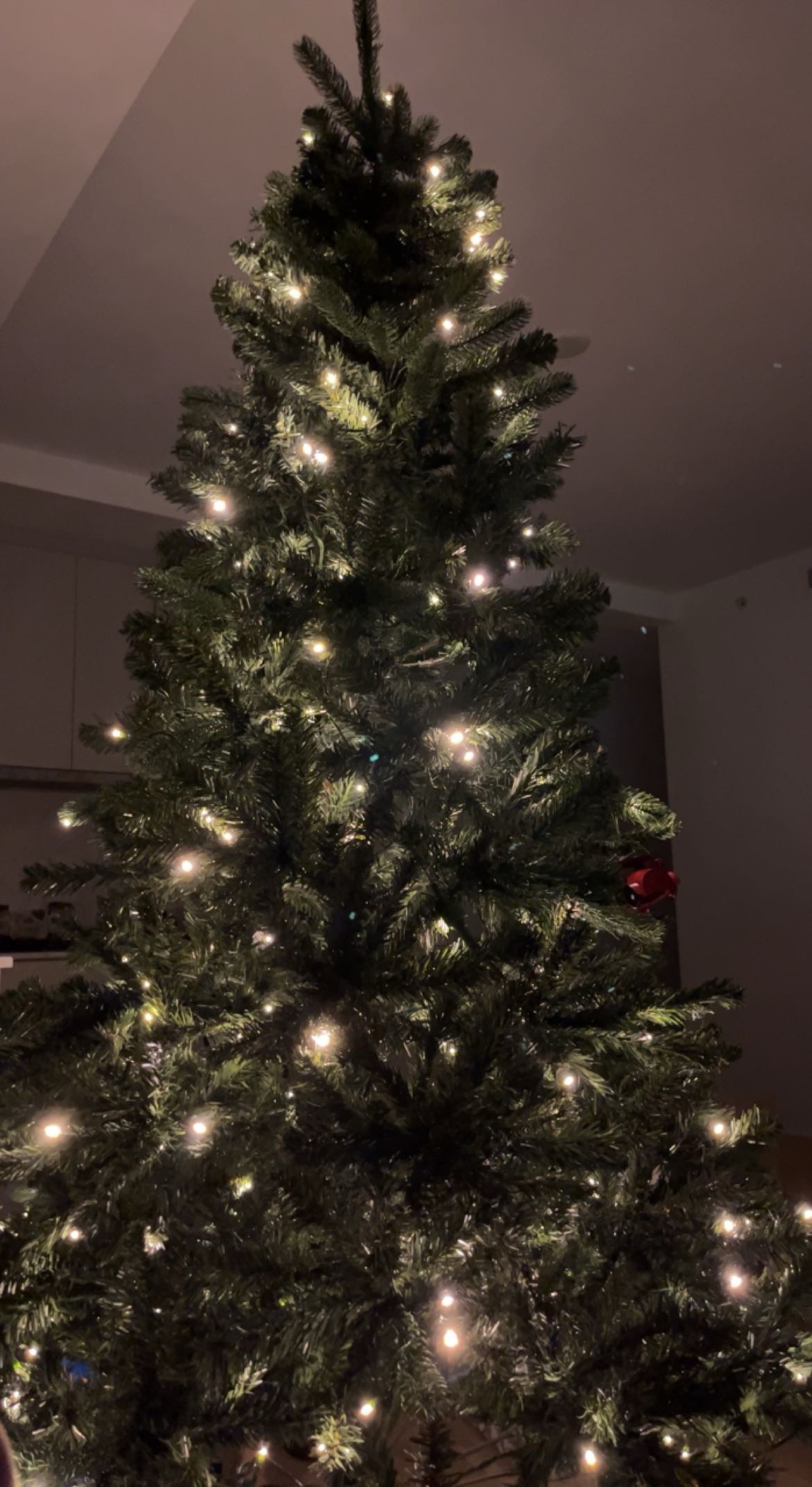 Christmas plus ornaments - photo 2
