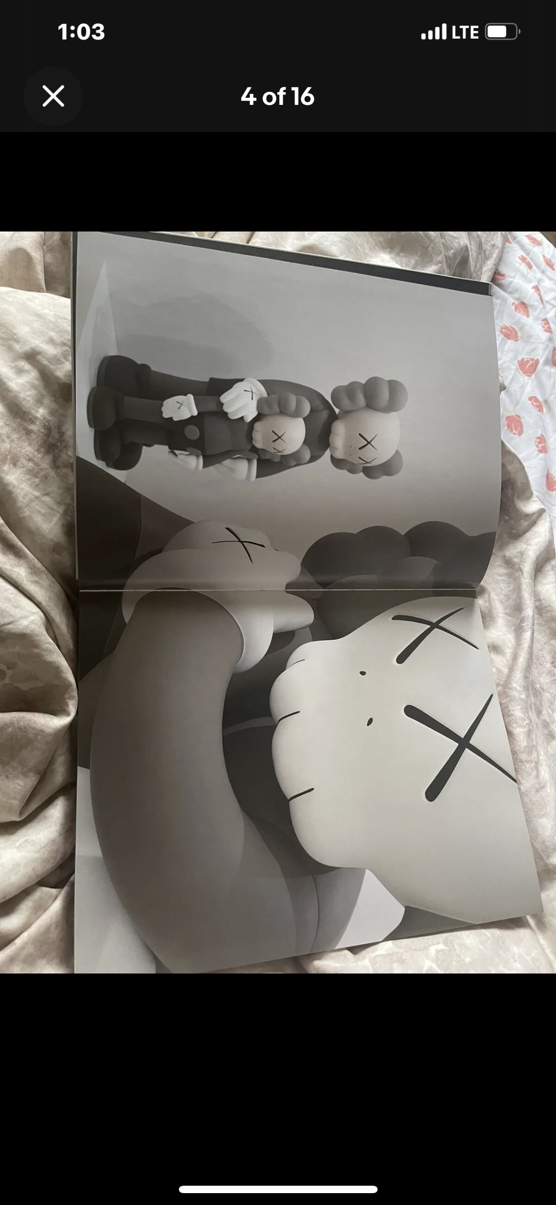 KAWS Companionship in the Age of Loneliness BOOK What Party image indicator(4)