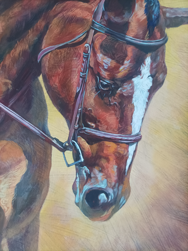 horses 40 by 30" image indicator(8)