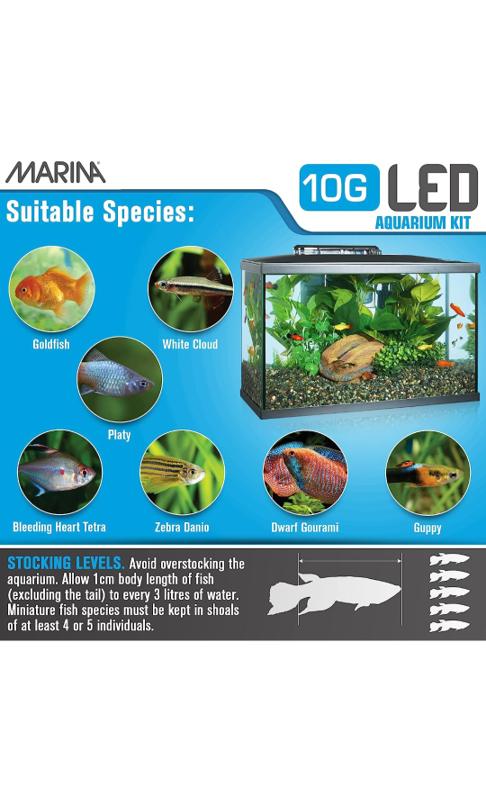 Marin 10 Gallon fish aquarium - photo 2