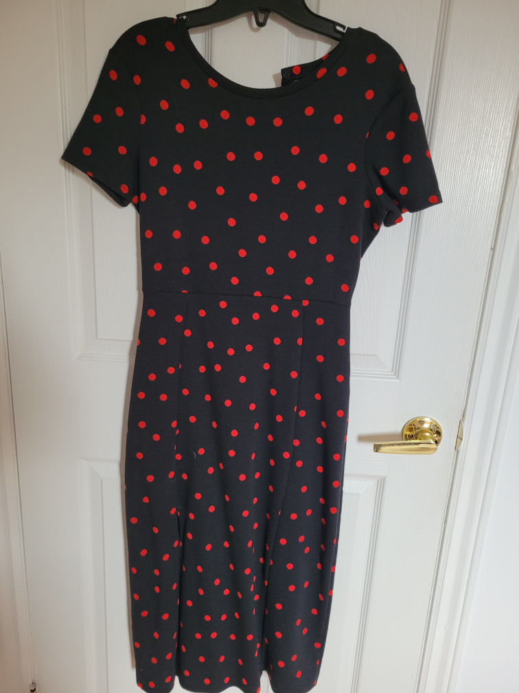 ZARA sz Small Dress