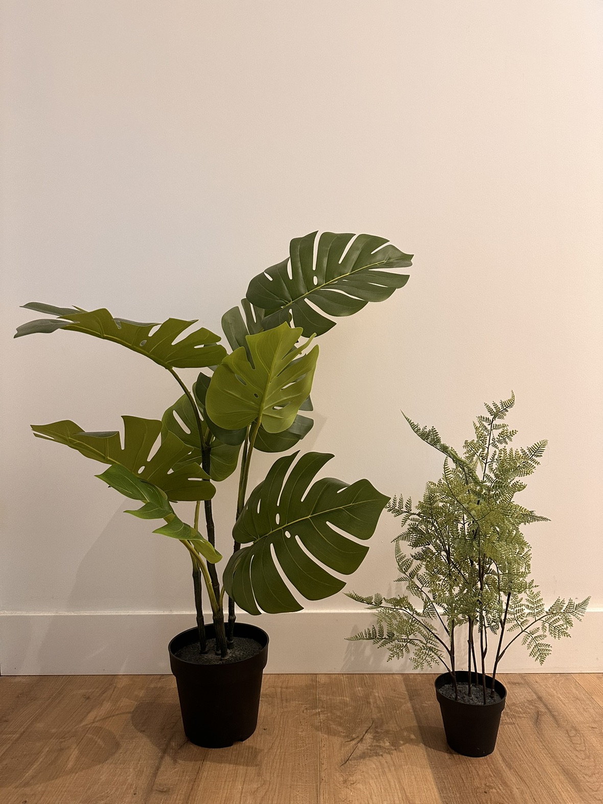 Fake plants thumbnail