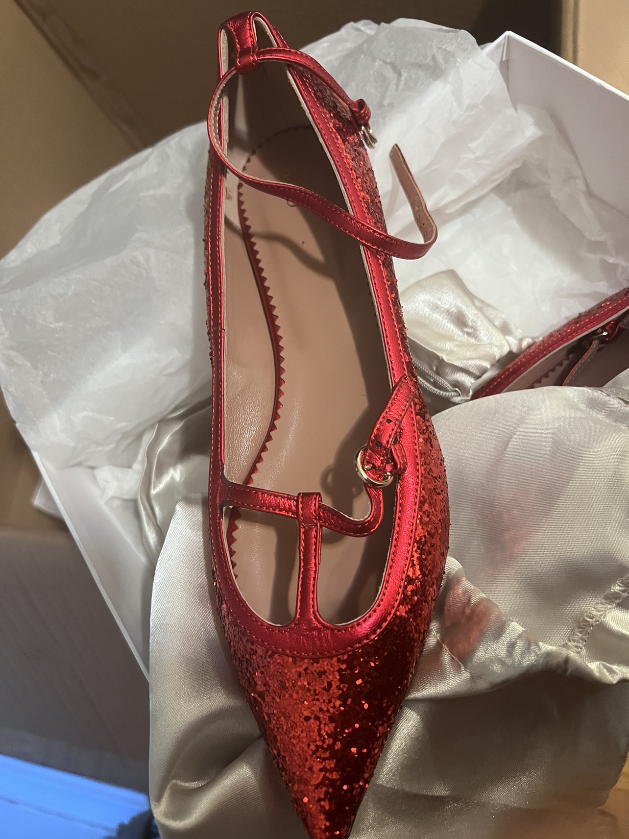 Valentino ballerina image indicator(3)