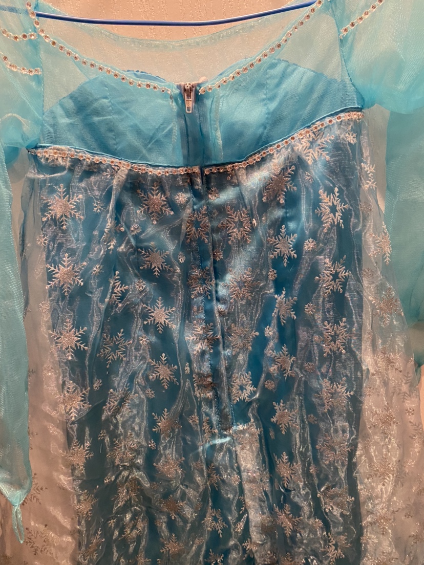 Frozen Elsa dress costume Halloween image indicator(4)