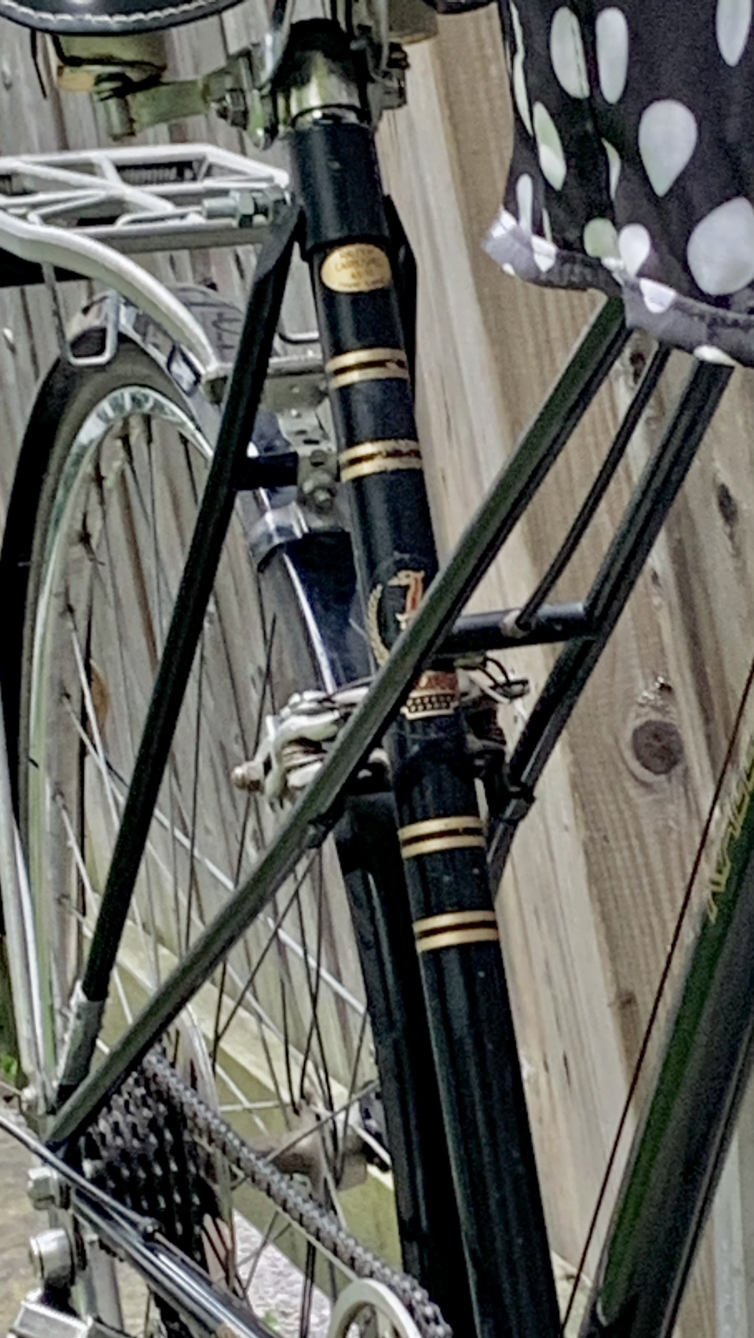 Luxury Vintage Raleigh with Pet Carrier / extras image indicator(9)