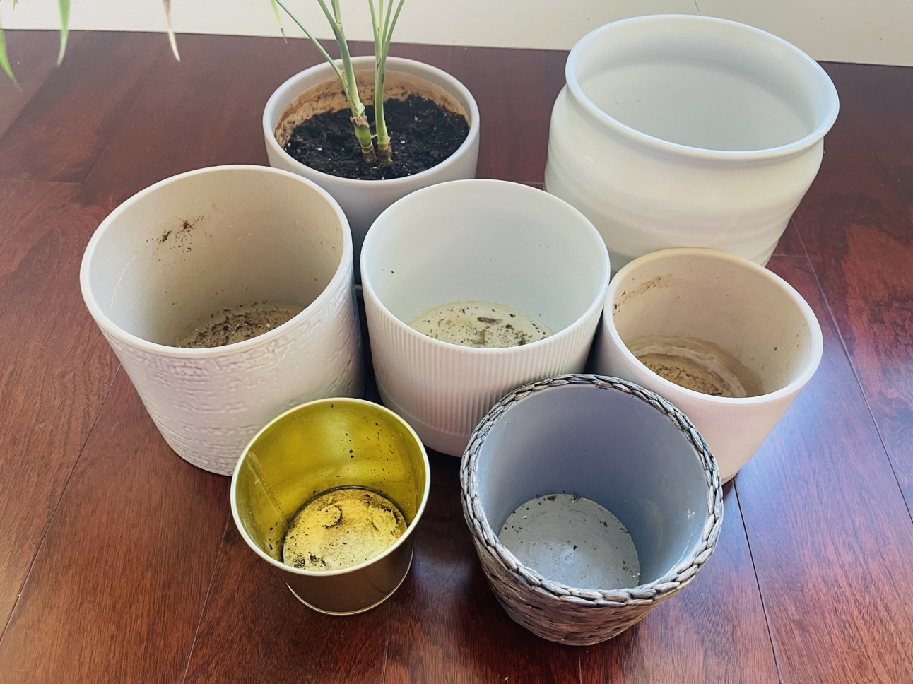 6Ikea Pots + 4 Stands