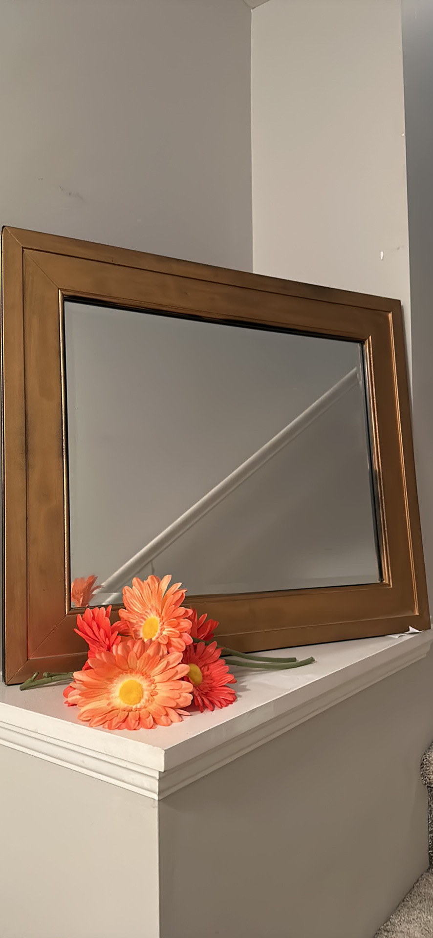 Miry image indicator(3)