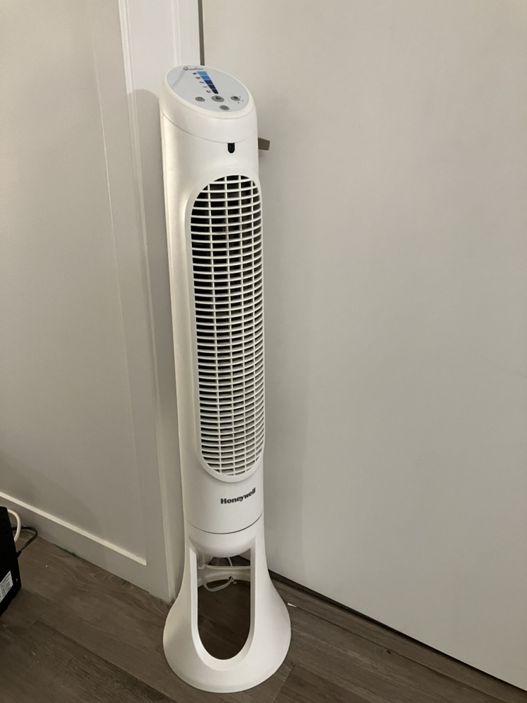 Floor fan