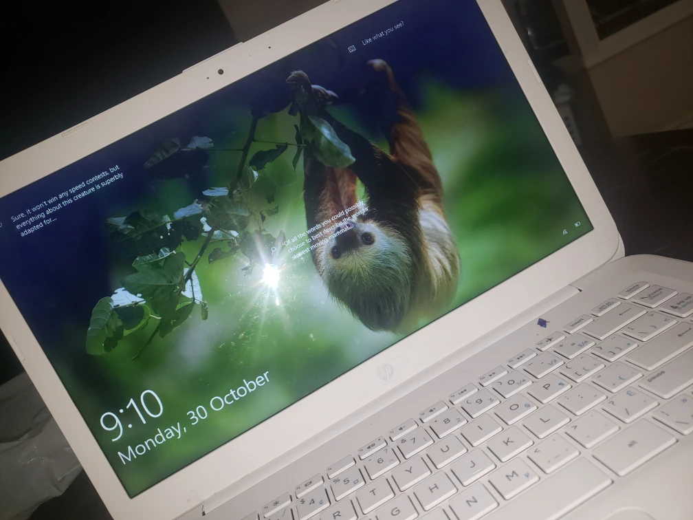 hp laptop for sale - photo 3