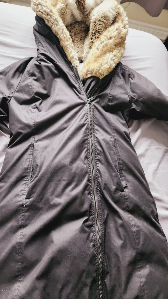 Aritiza Parka Jacket - Black image indicator(3)