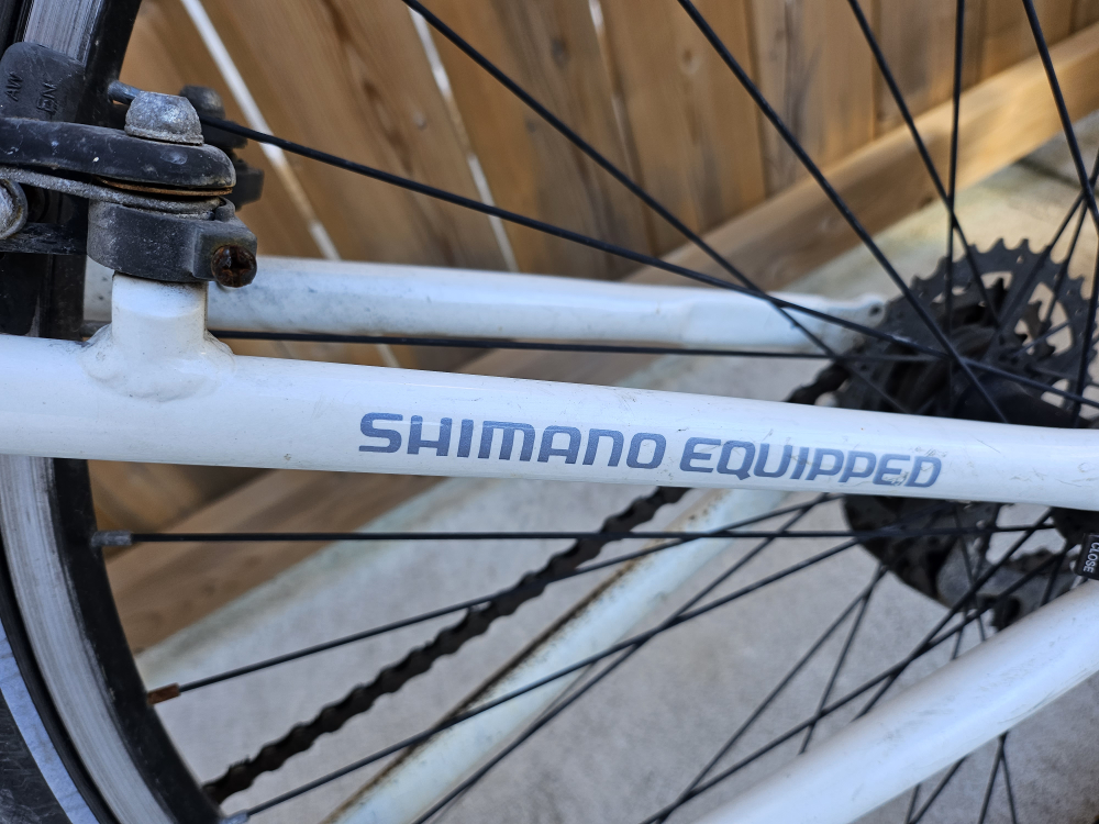 bike in needs of love - photo 4