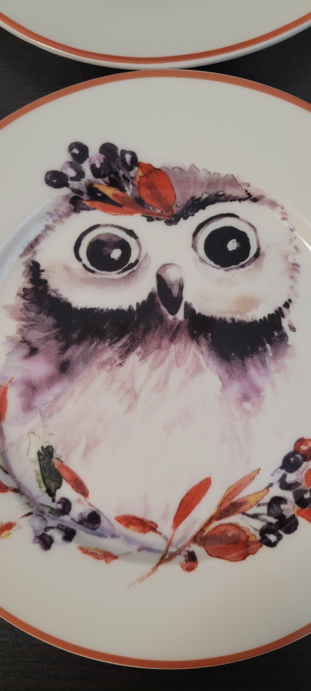 4 porcelain plates designed in Australia image indicator(4)