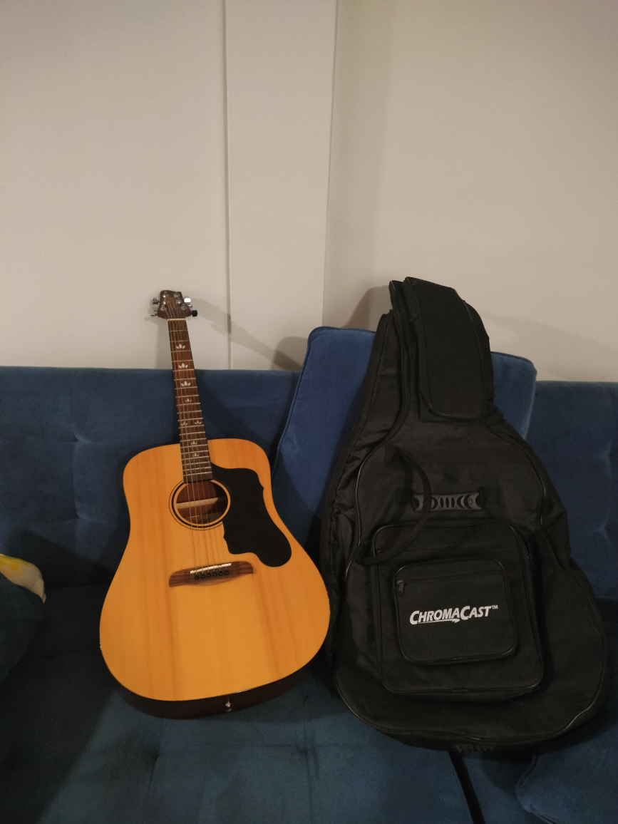 Guitar along with cover - photo 3