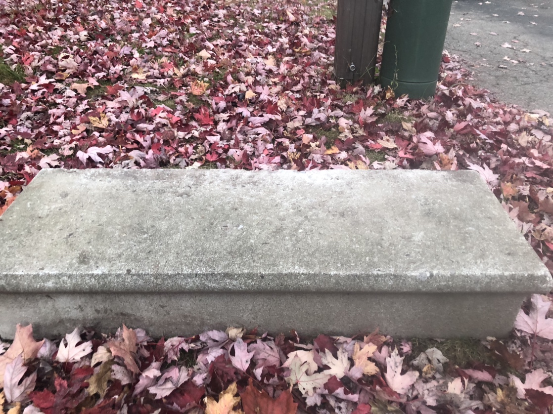 **FREE Concrete Step**