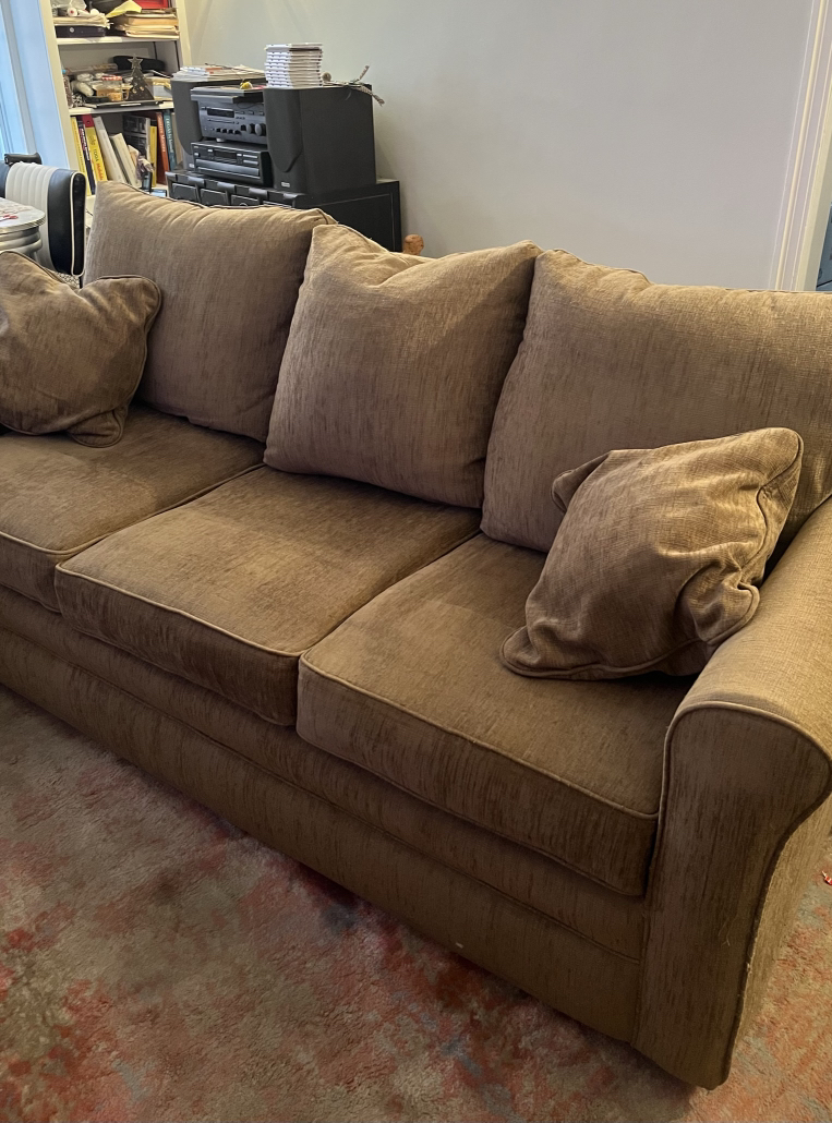 This weekend only - Sleeper Sofa!