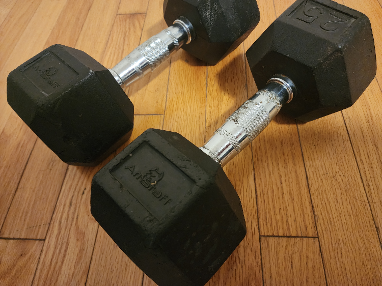 25lb Dumbbells- Free delivery within the GTA thumbnail