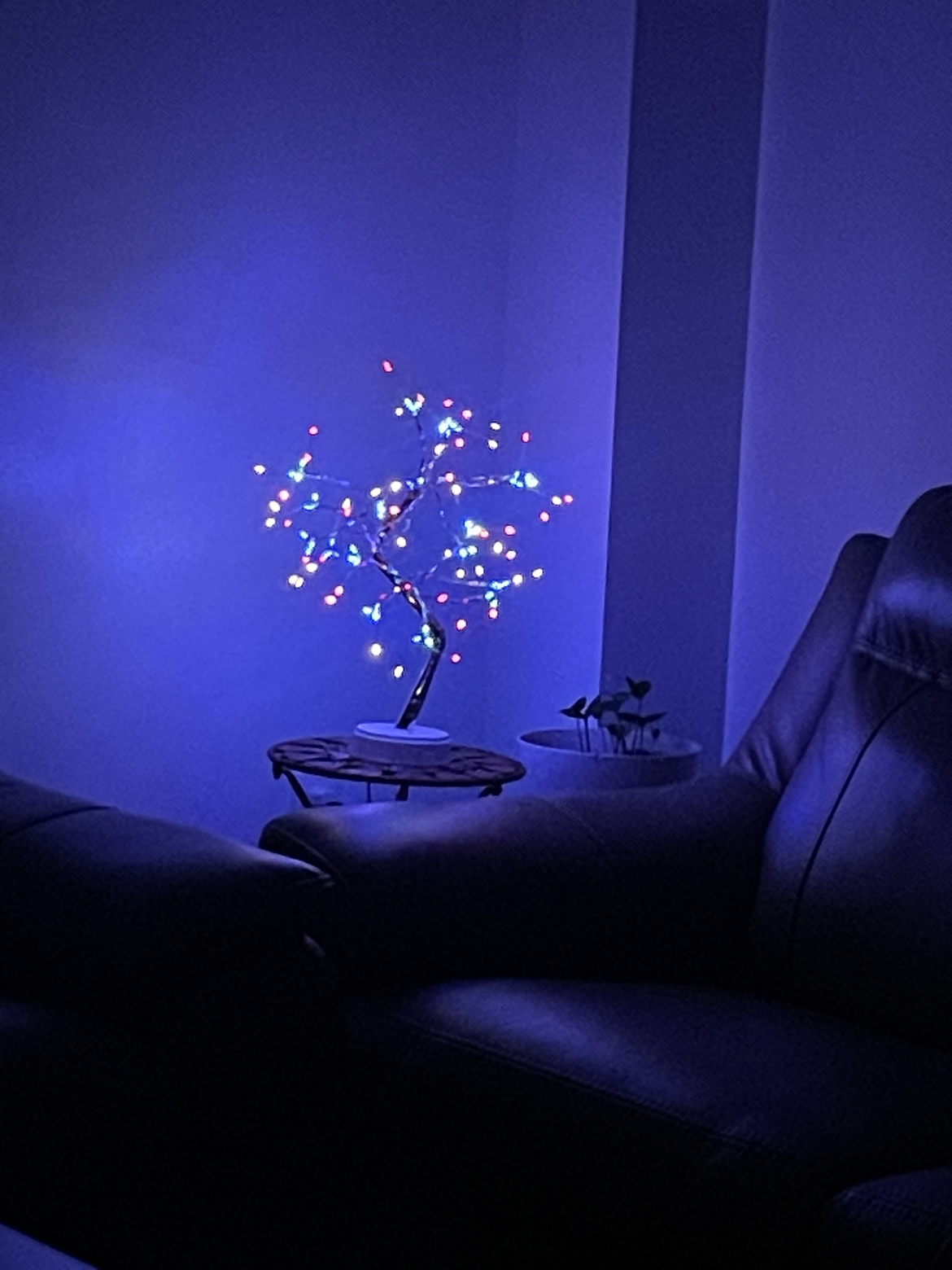 Fairy spirit led tree lamp ( any room ) thumbnail