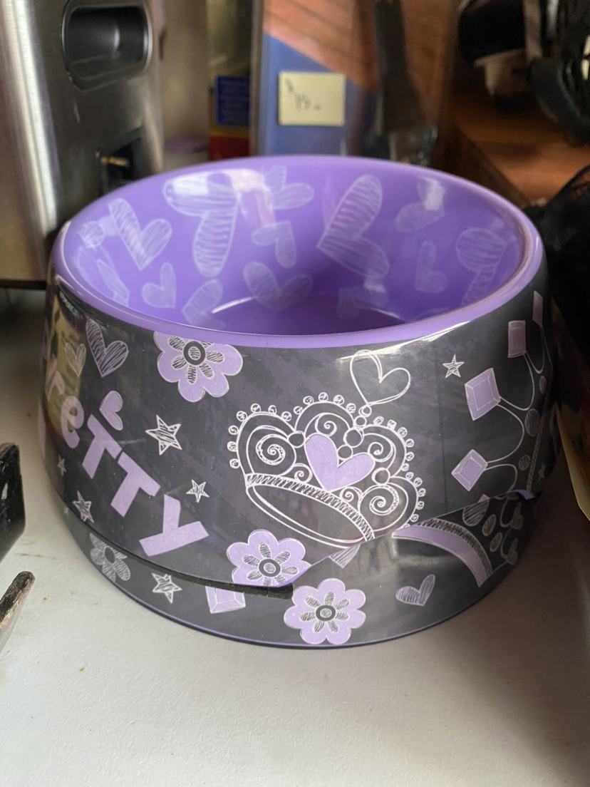 Dog’s food and water bowls