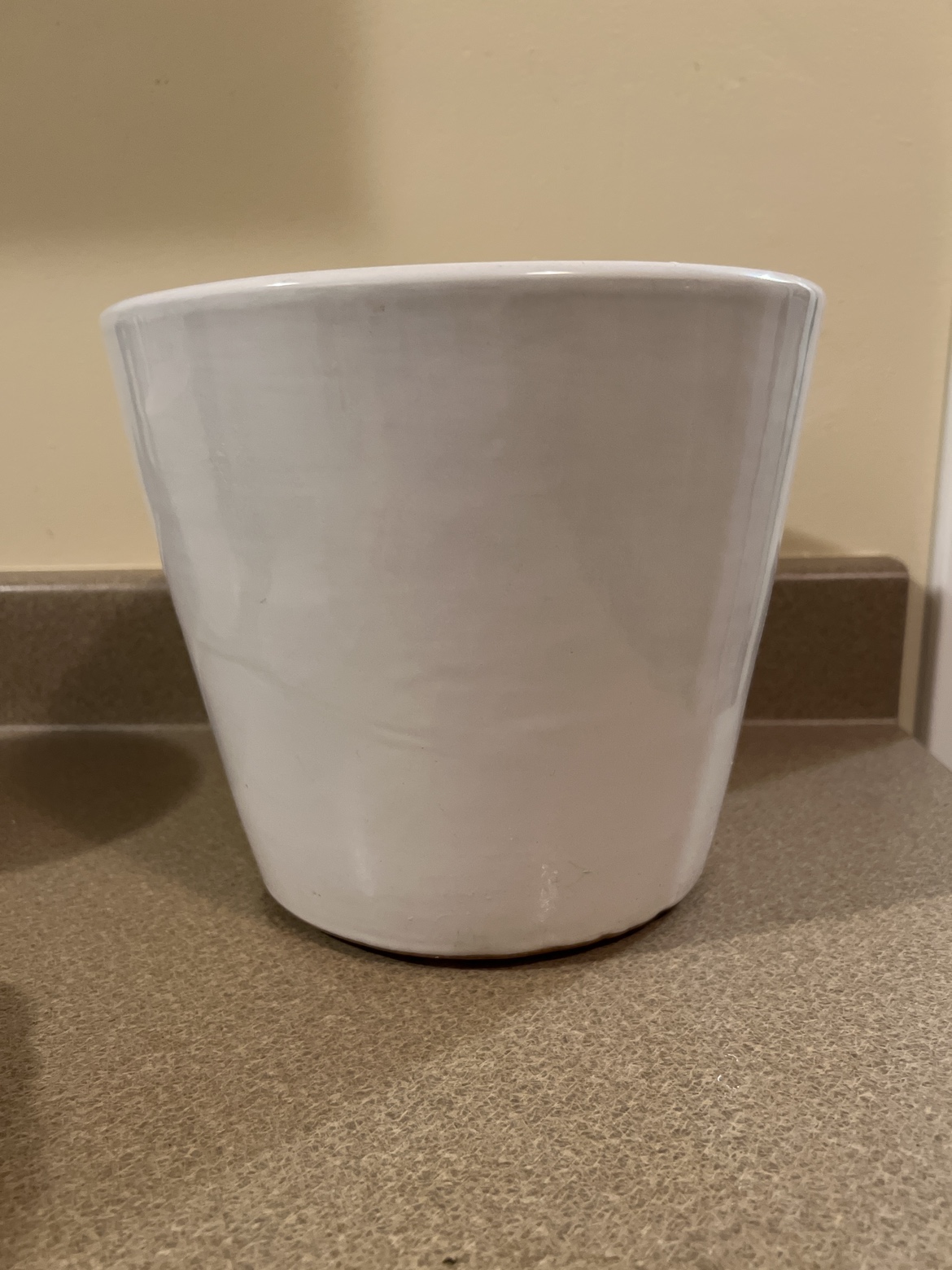 Pot