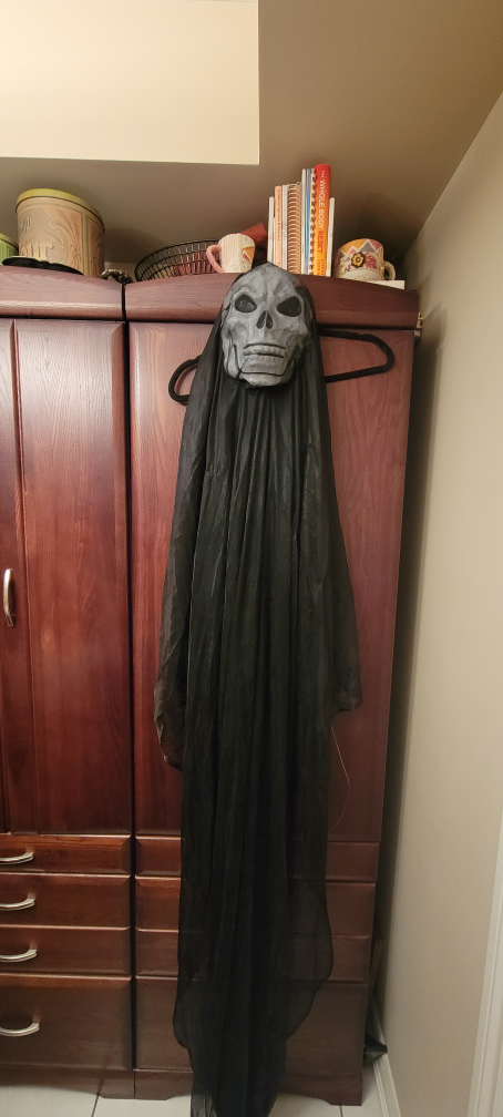 Halloween Costume - Make an offer