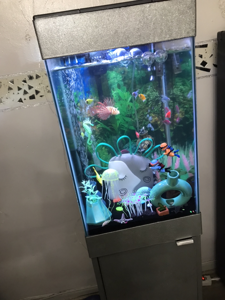 Fish tank - photo 3