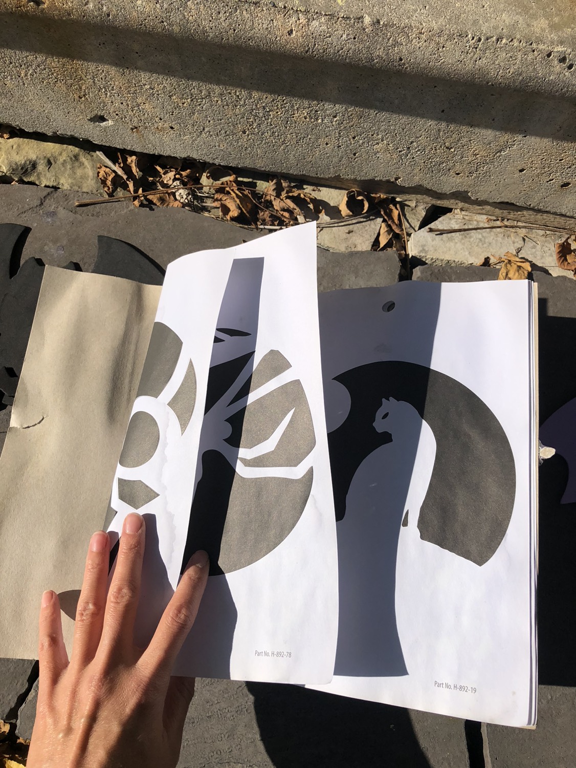 Pumpkin carving set and Halloween foam craft image indicator(3)