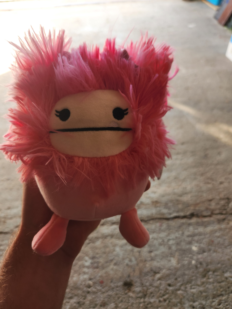 5 in Squishmellow caparinne