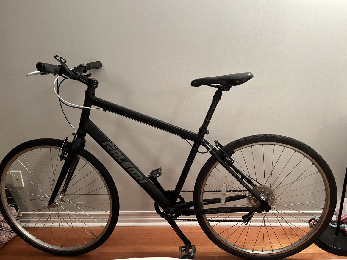 🦃 Raleigh entourage city hybrid bike 700 thumbnail