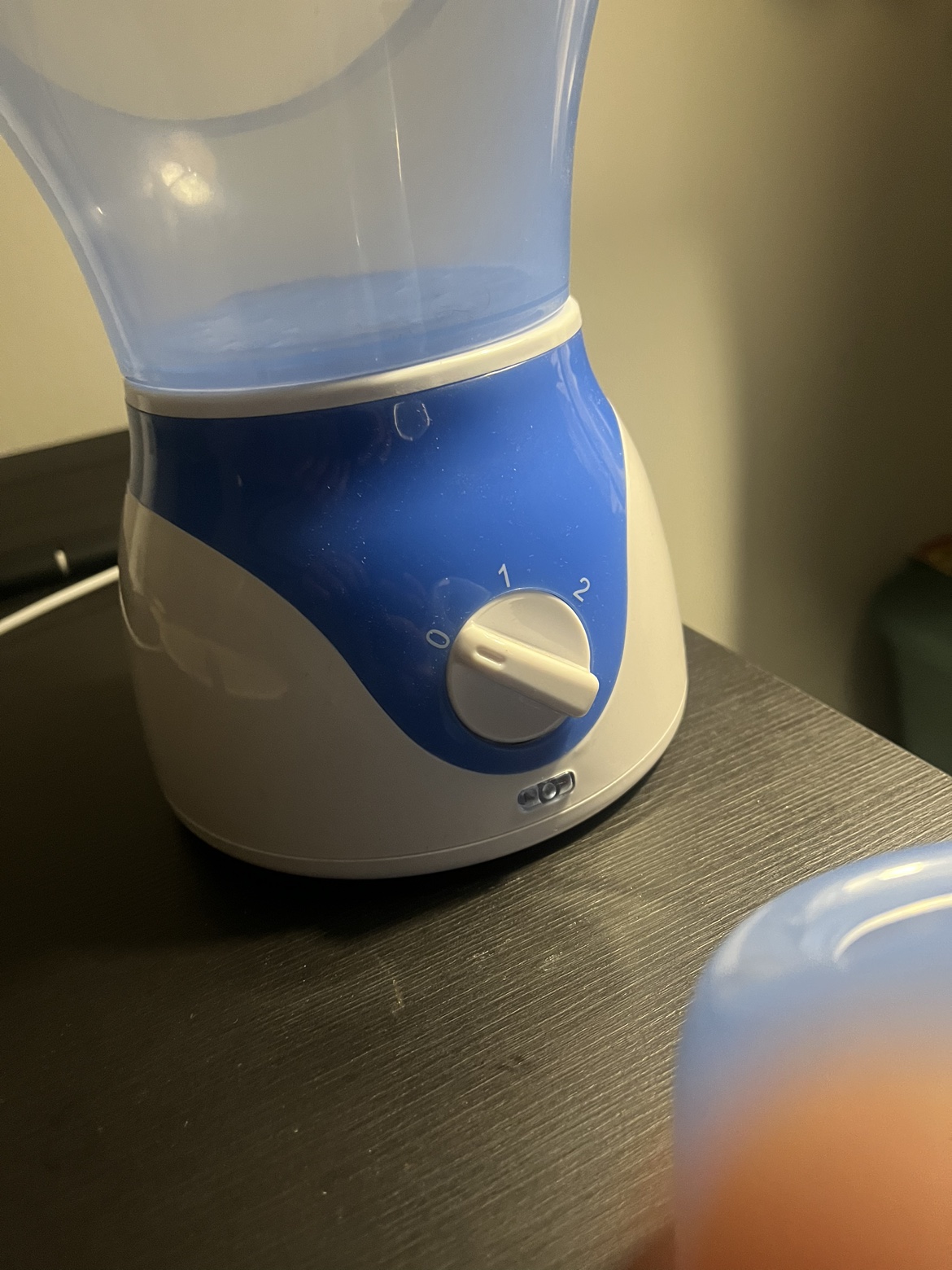 Facial steamer