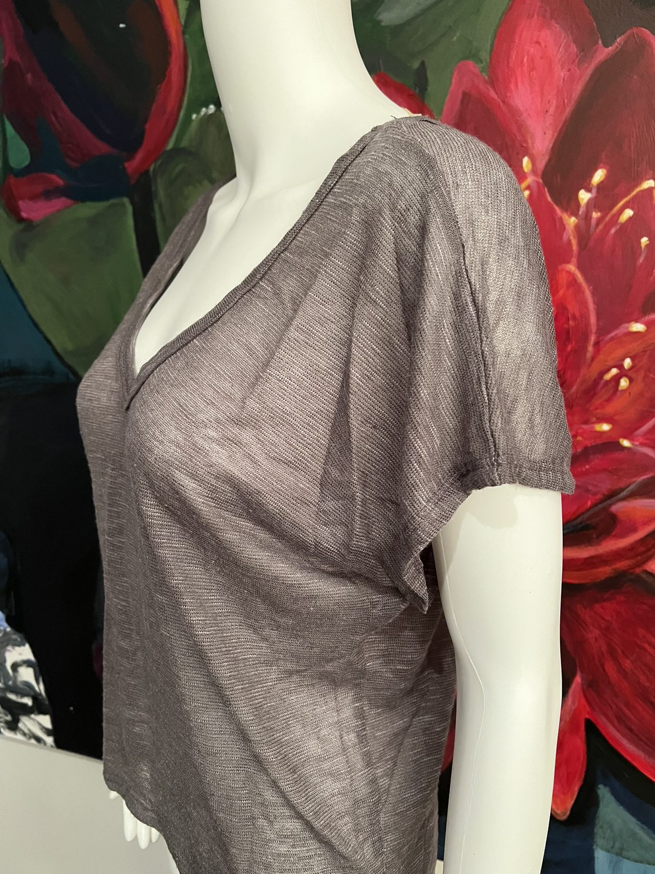 T-shirt - sheer material, NEW, never worn. image indicator(2)