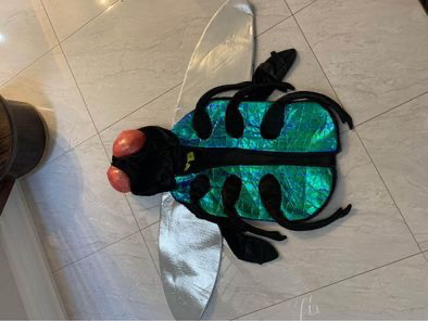 Bug/ Fly Halloween Costume thumbnail