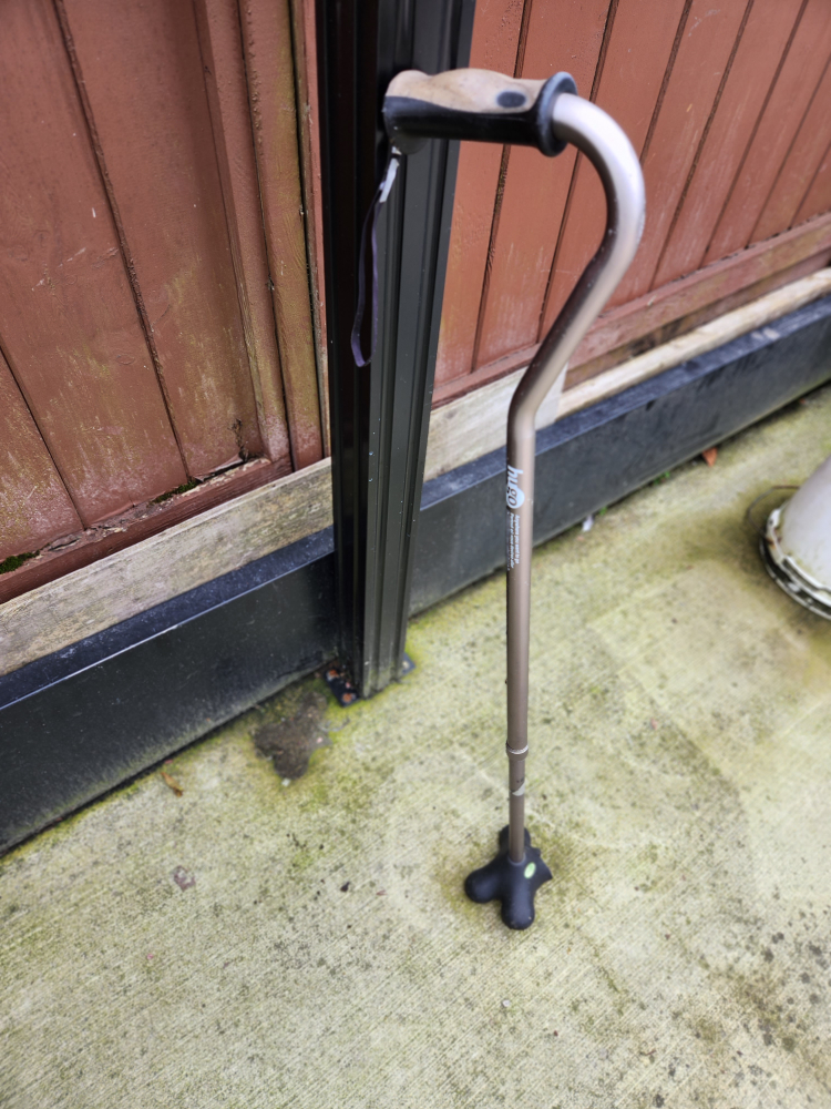 hugo walking cane thumbnail