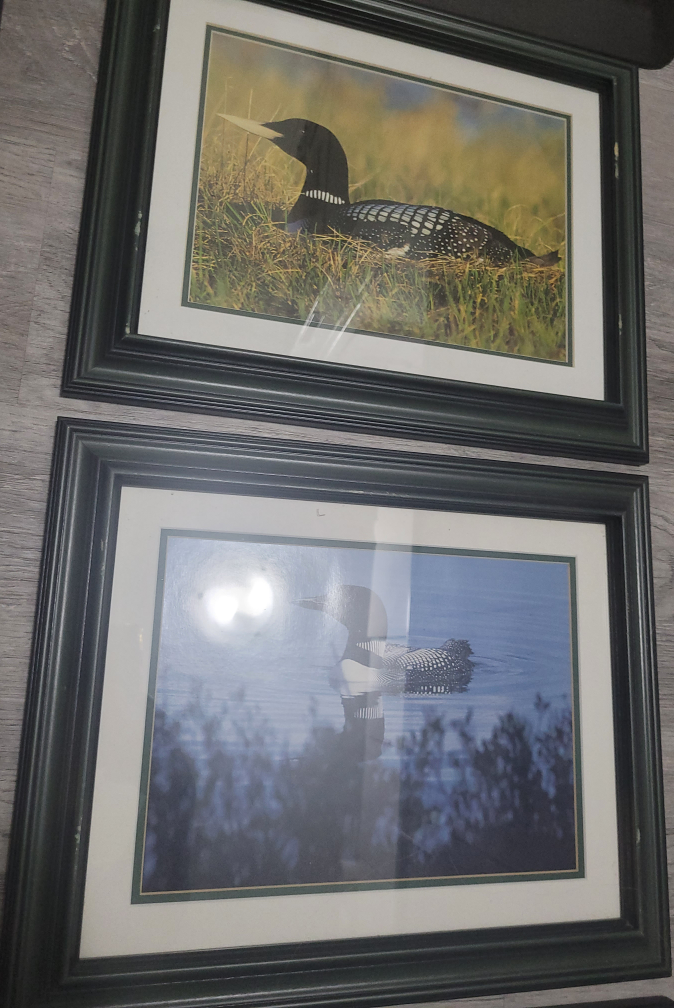 7 FRAMES - ALL for $7 image indicator(3)