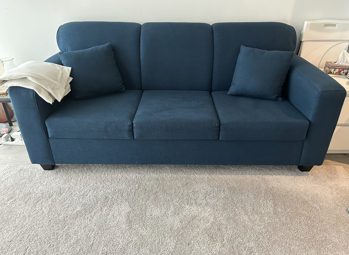 Sofa/ Couch with 2 cushions (all cost inclusive) thumbnail