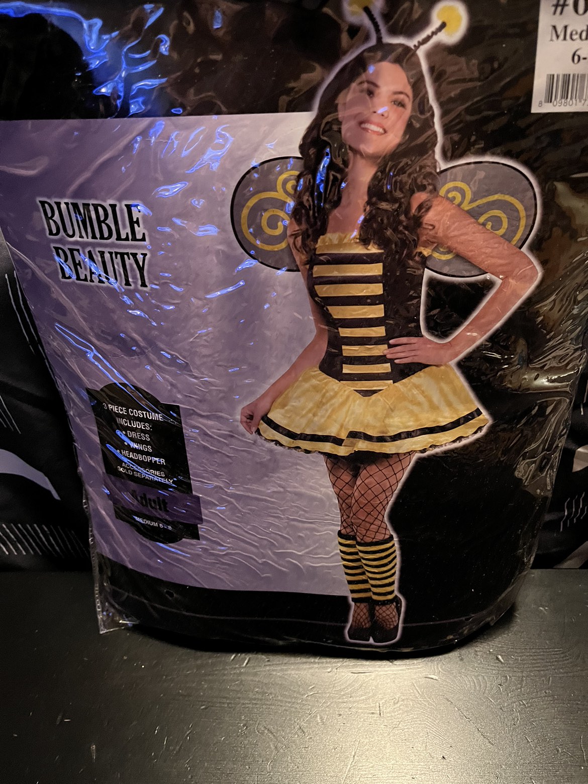 BUMBLE BEE WOMEN’S COSTUME
