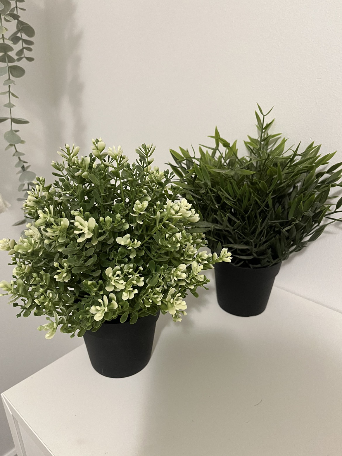Ikea artificial plants (set of 4)