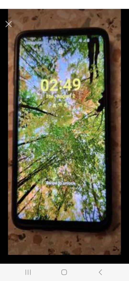 Samsung Galaxy S10 - photo 2
