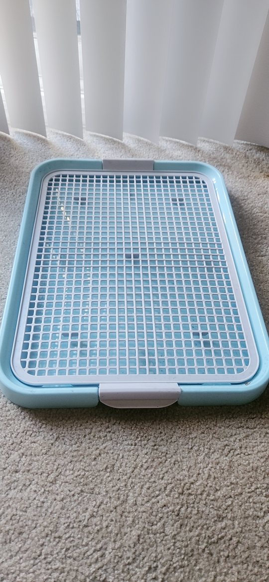 dog potty trained toilet