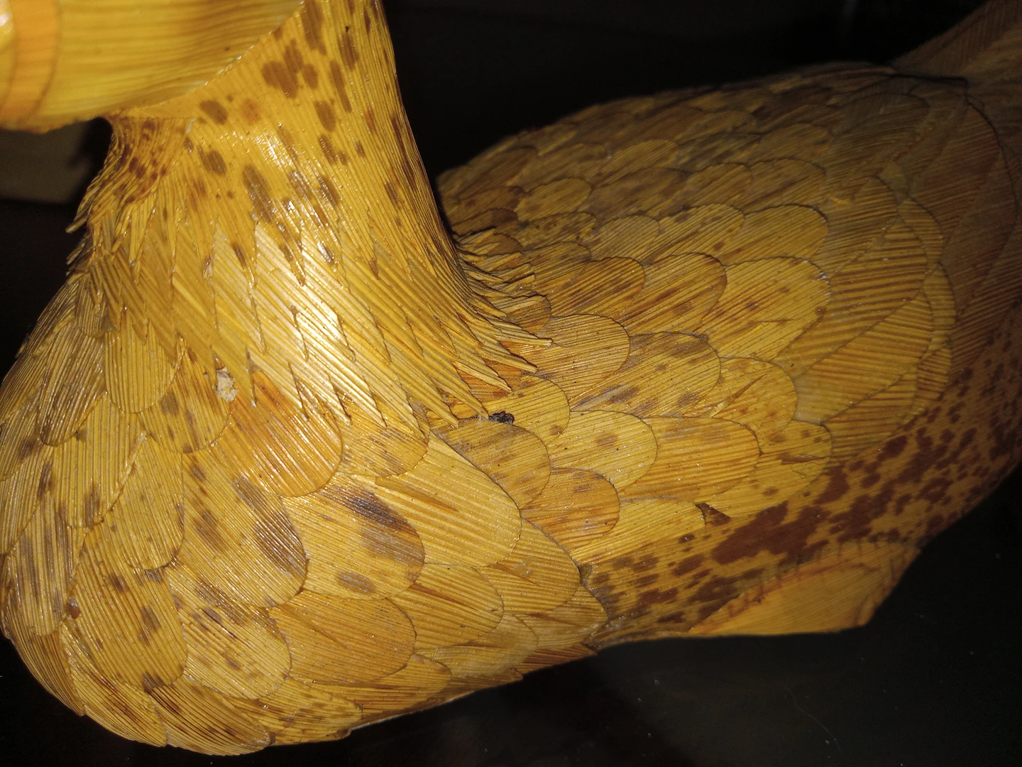 Duck decor image indicator(7)