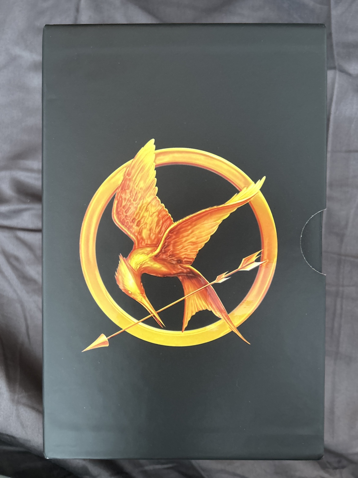 Hunger Games Trilogy - photo 3