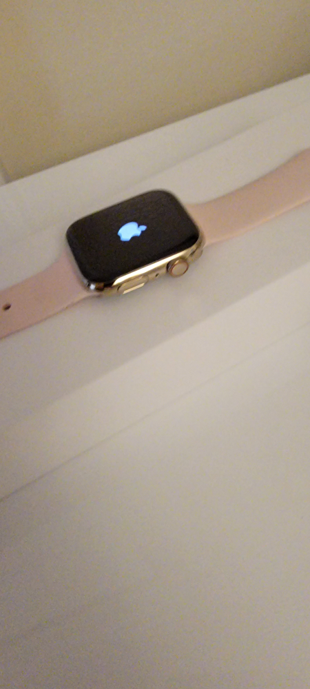 Apple Watch Series 8 45MM Gold Stainless Steel GPS and Cellular - photo 5